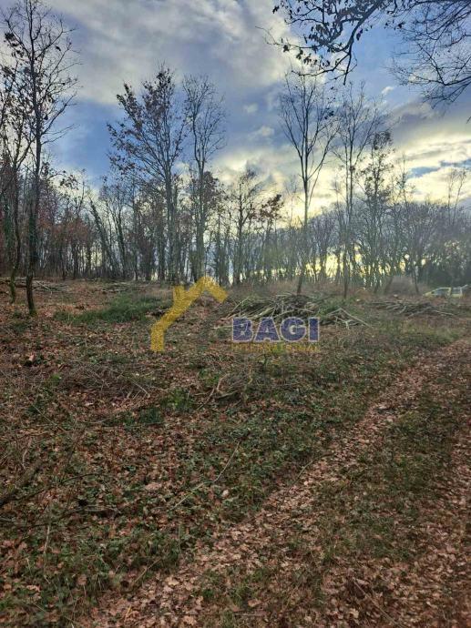 GRADBENO ZEMLJIŠČE – KRINGA 1.150 m²