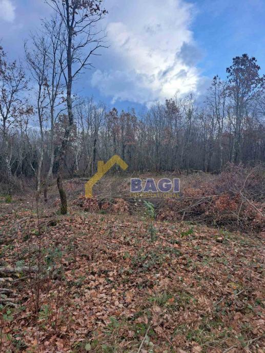 GRADBENO ZEMLJIŠČE – KRINGA 1.150 m²