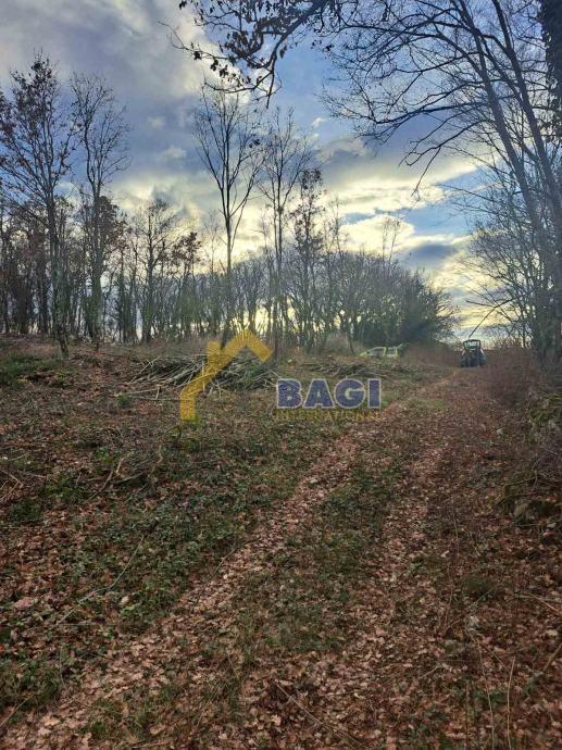 GRADBENO ZEMLJIŠČE – KRINGA 1.150 m²