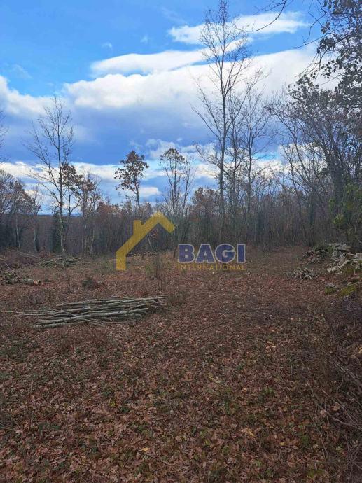 GRADBENO ZEMLJIŠČE – KRINGA 1.150 m²