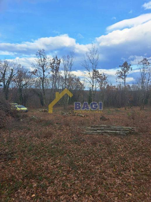 GRADBENO ZEMLJIŠČE – KRINGA 1.150 m²