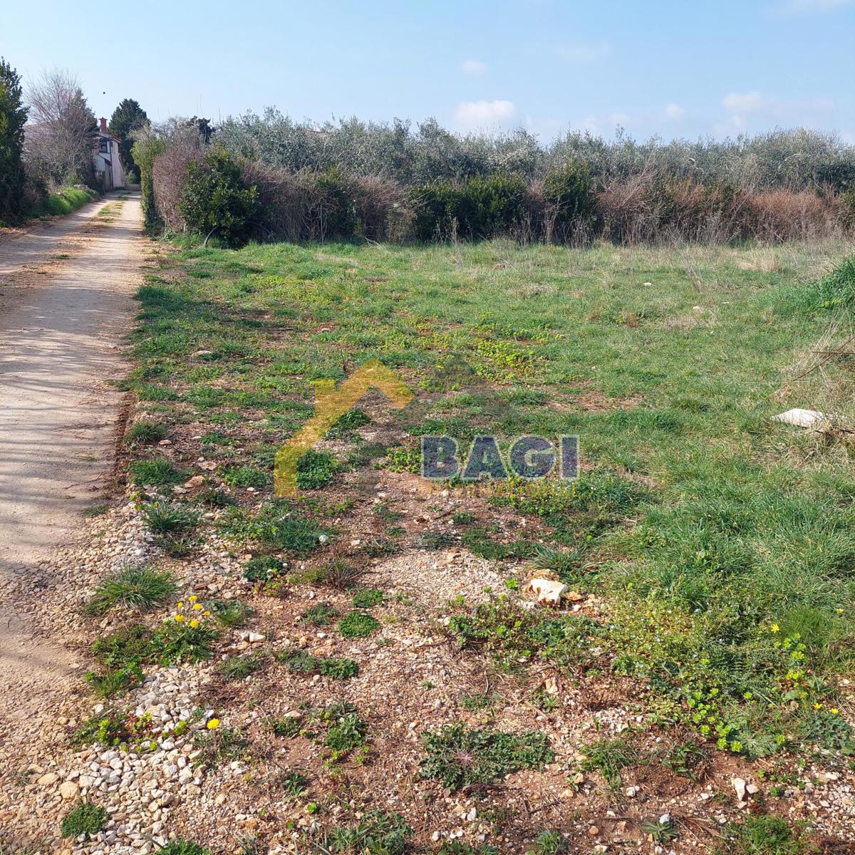 ZAZIDLJIVO ZEMLJIŠČE JADREŠKI PULA 849m2