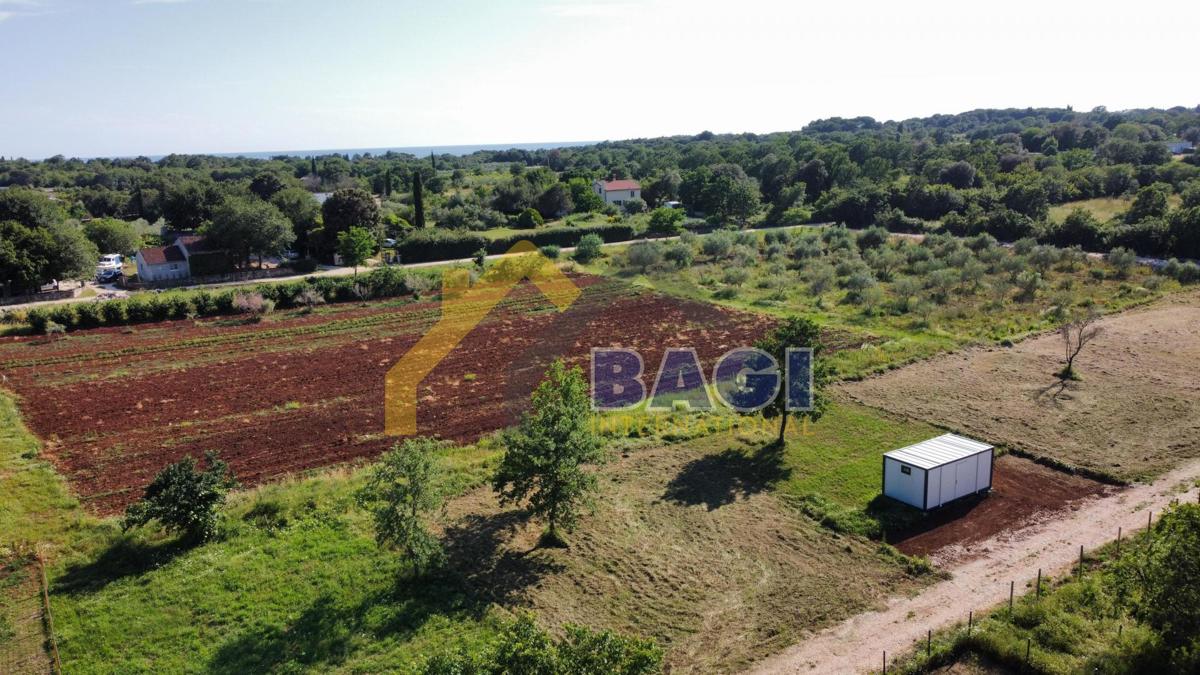 Kmetijsko zemljišče Rovinj, 562m2