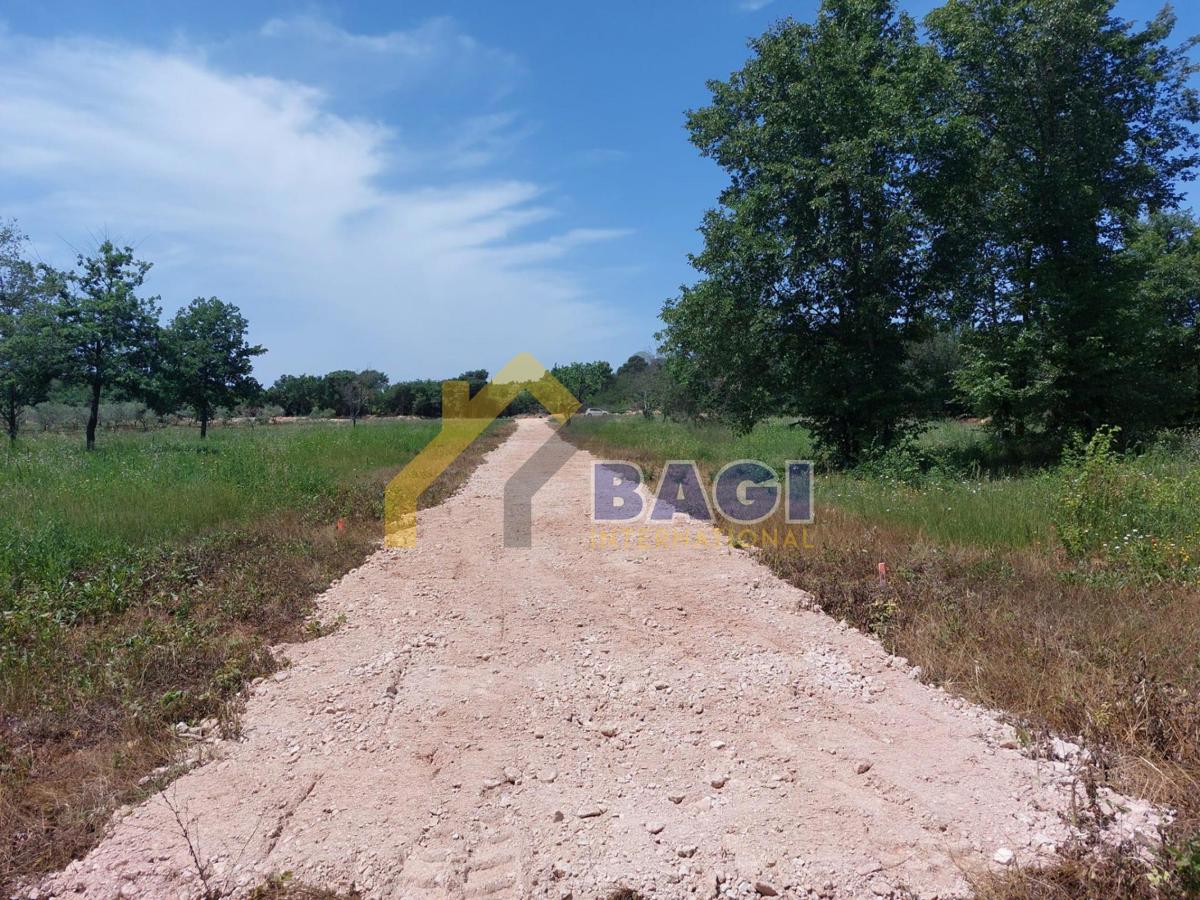 Kmetijsko zemljišče Rovinj, 562m2