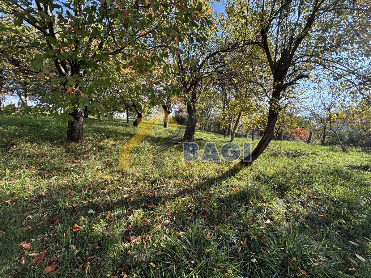 Hiša Miroševec, Gornja Dubrava, 332m2