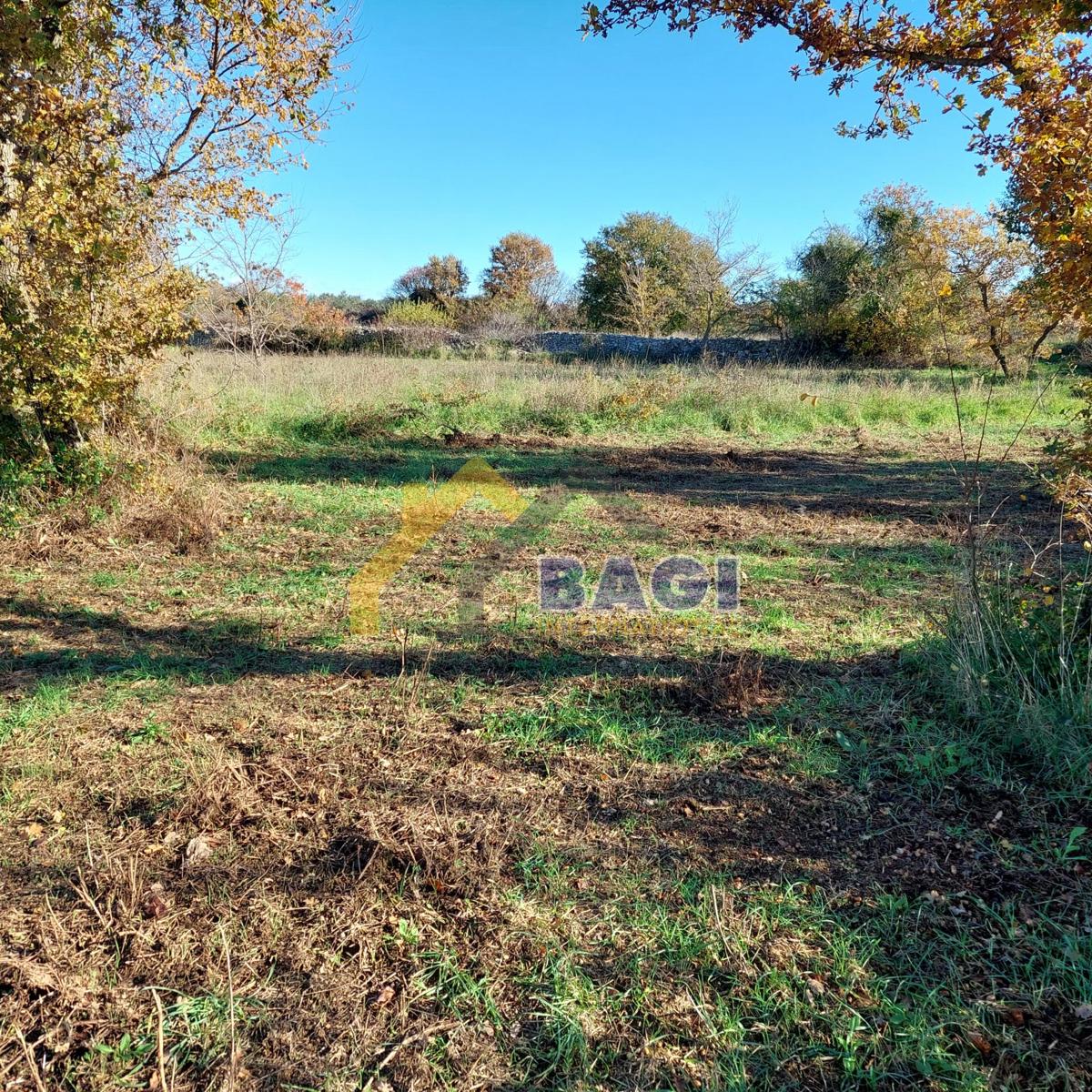 VRHUNSKA LOKACIJA - Gradbena parcela s pogledom na morje!!!