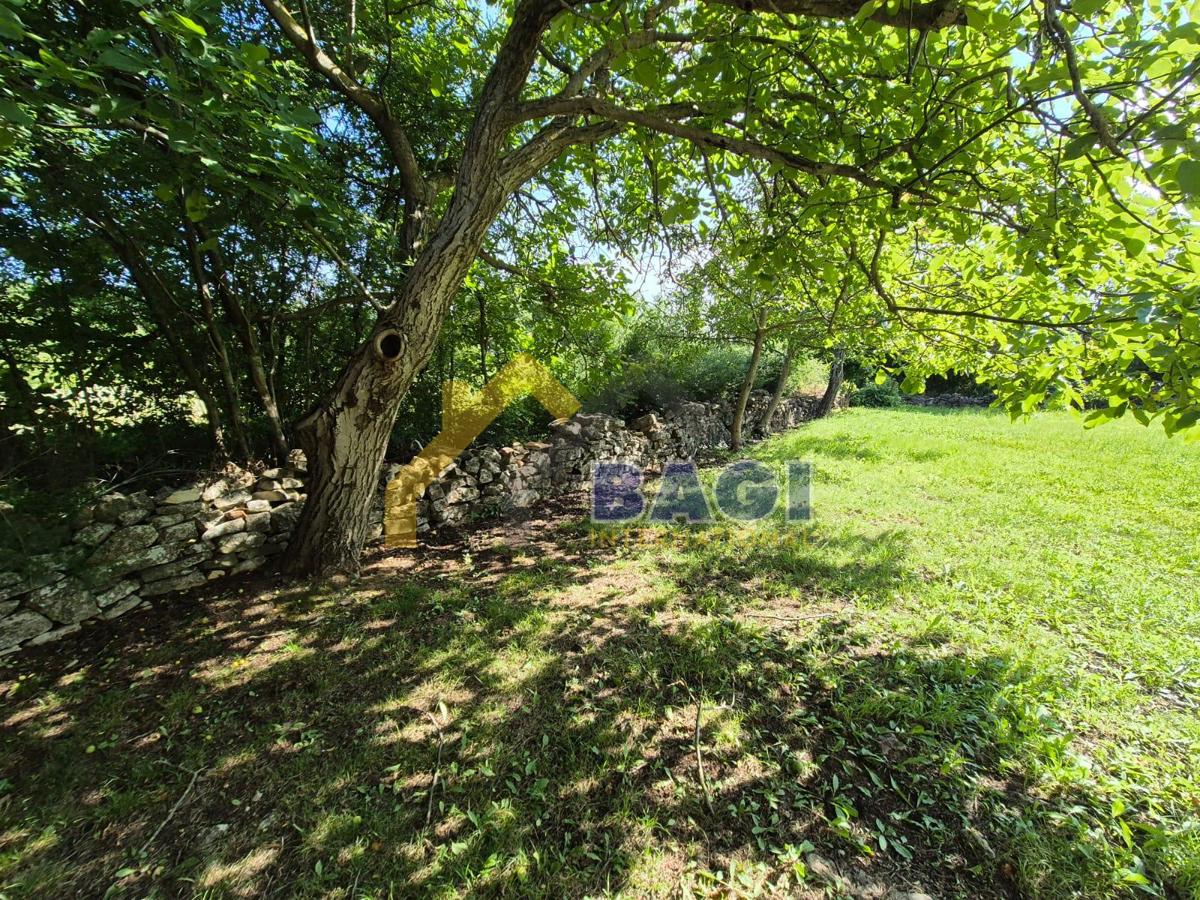 KANFANAR - DVE GRADBENI PARCELI S STARO STAVBO