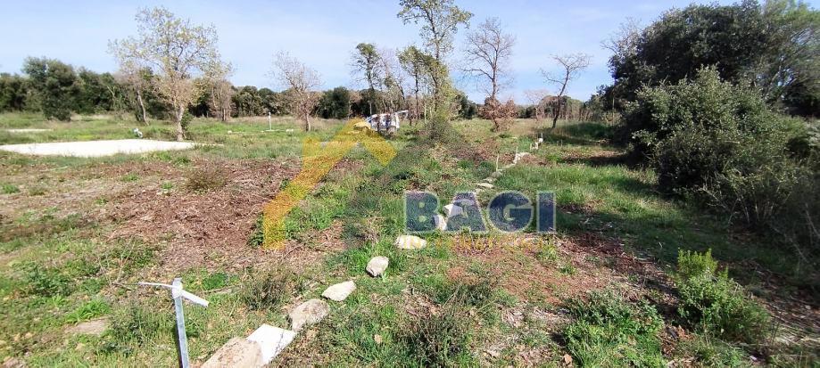 Peroj – Kmetijsko zemljišče 625 m²