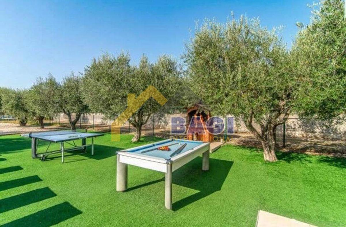 VODNJAN - čudovita vila z oljčnim nasadom