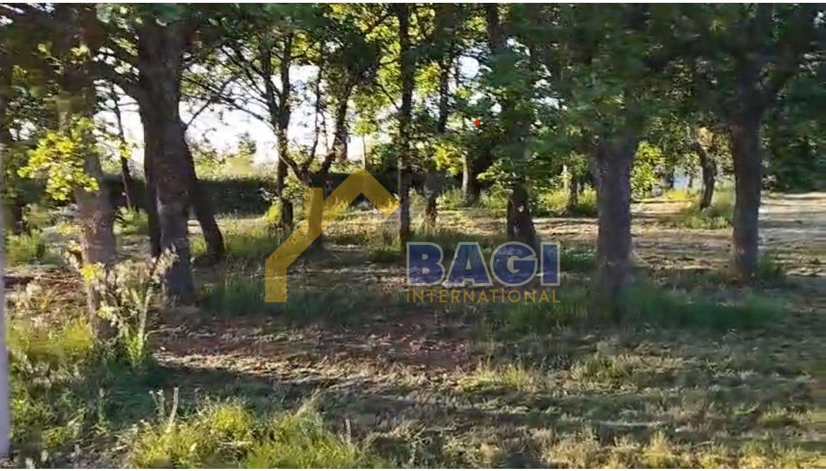 GRADBENO ZEMLJIŠČE V OKOLICI POREČA Z GRADBENIM DOVOLJENJEM