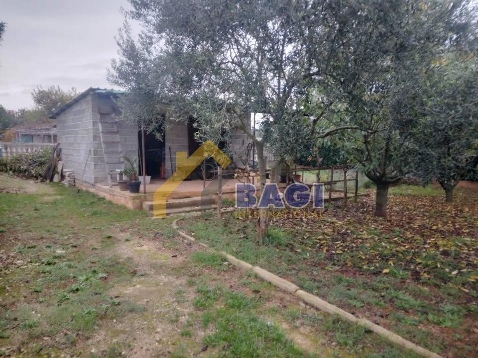 ISTRA - LOBORIKA Hiša z vrtom in legaliziranim objektom