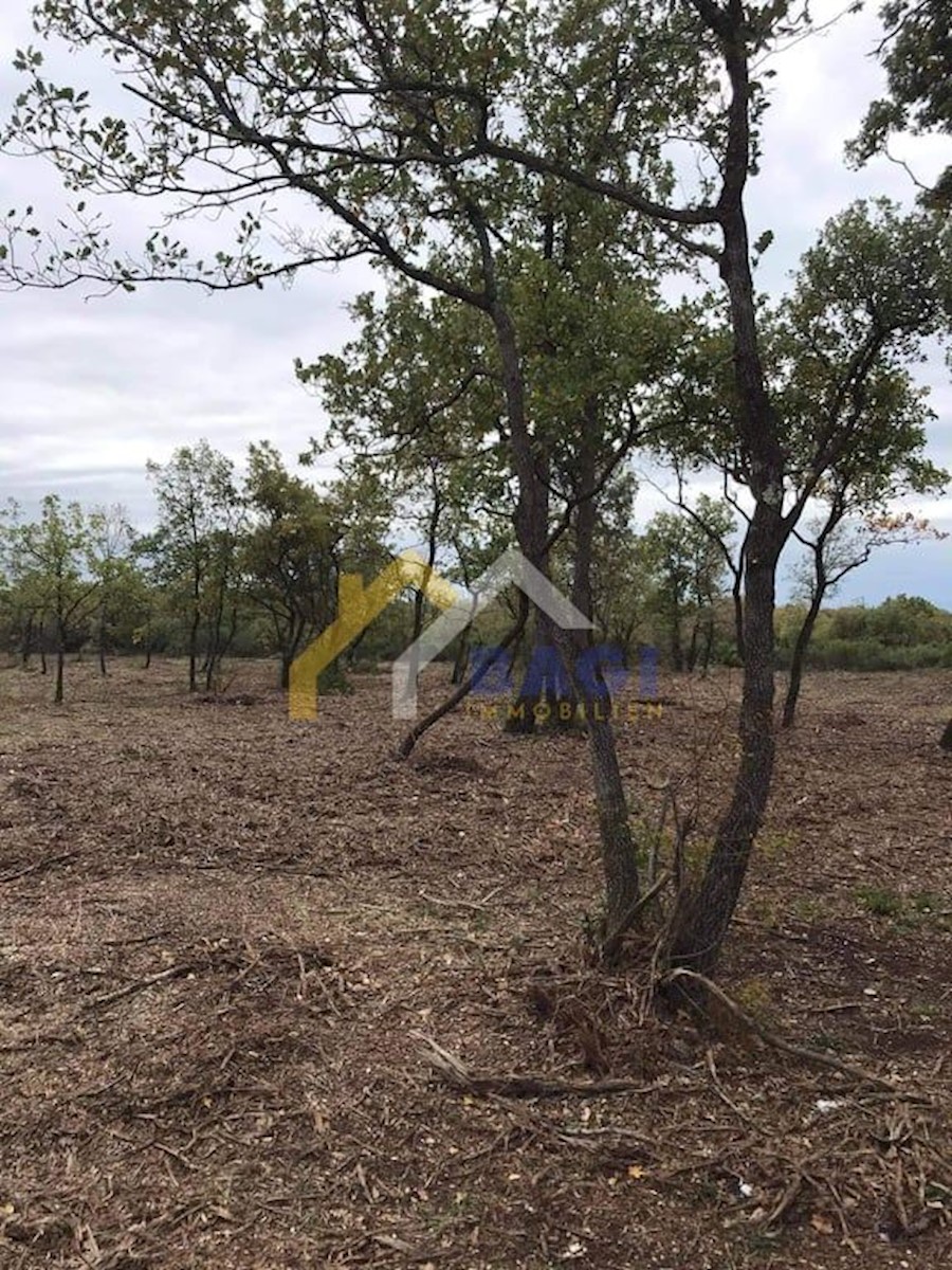 Kmetijsko zemljišče Barbariga, Vodnjan, 501m2