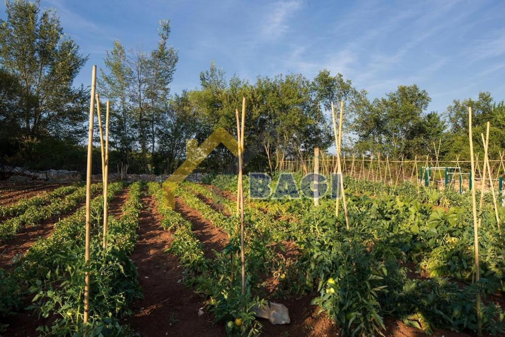 kskluzivna istrska vila v bližini Kanfanarja