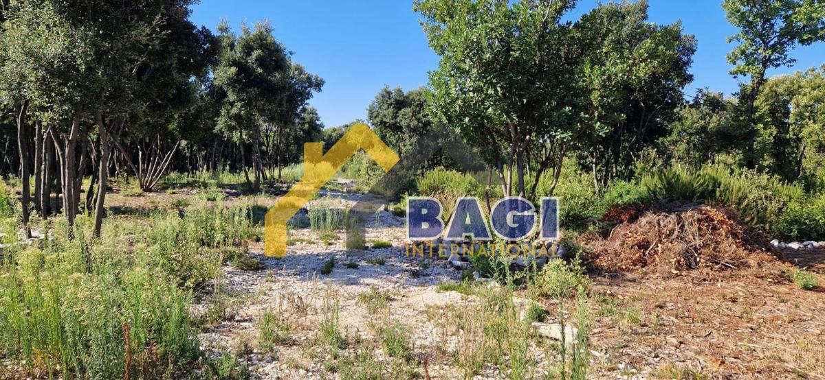 Peruški Kmetijsko zemljišče v bližini morja 900m2