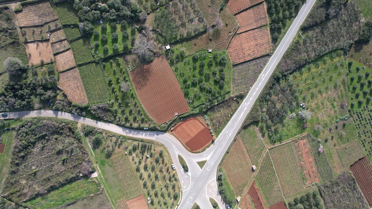 Prodamo vinograd Plavac Mali na otoku Hvaru