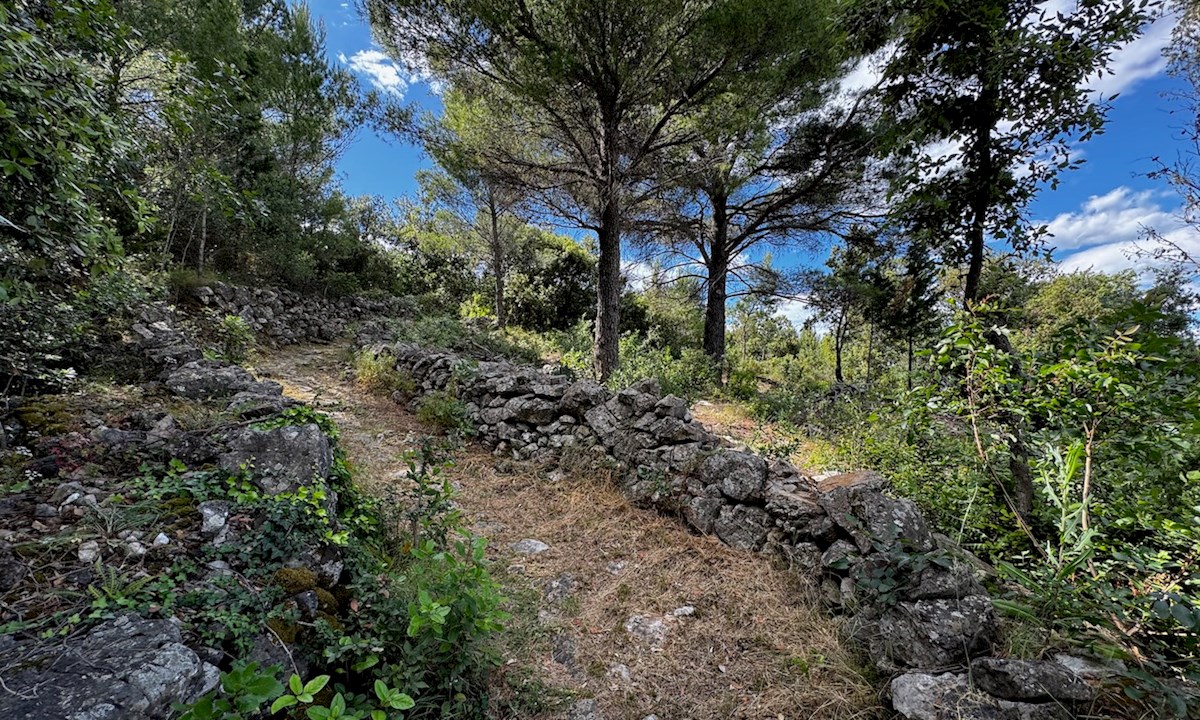 Kamnita hiša z vrtom in zemljiščem Dol, otok Hvar