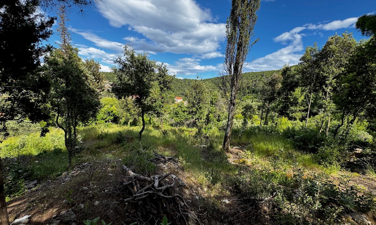 Kamnita hiša z vrtom in zemljiščem Dol, otok Hvar