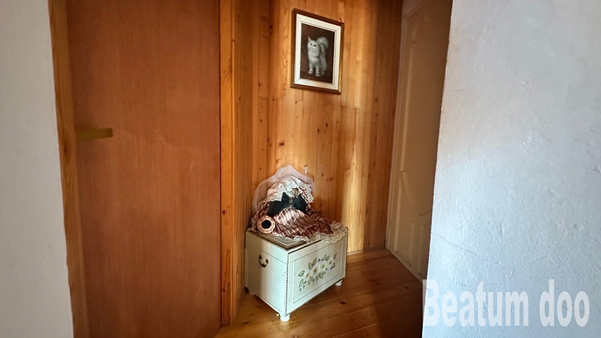 Apartma v centru Novigrada, izjemna lokacija, 50 m od plaže