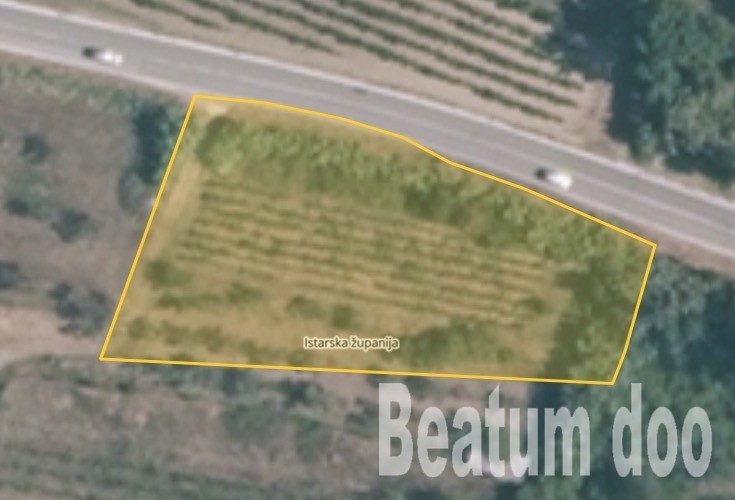 Kmetijsko zemljišče, Buje