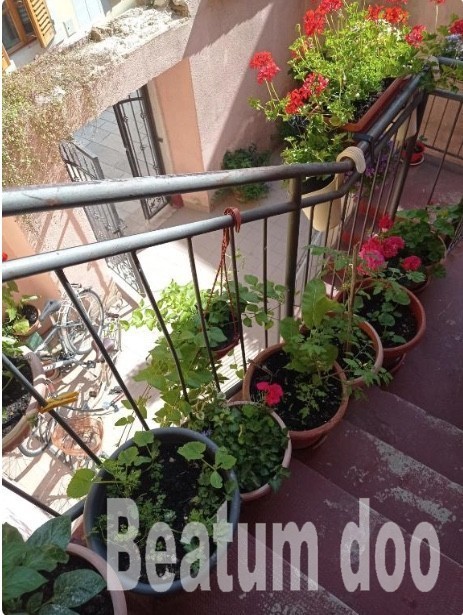 Studio v središču mesta, prvo nadstropje, pogled na morje, Novigrad