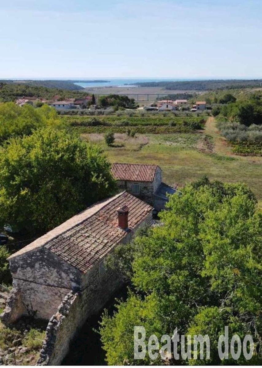 Vila s pogledom na morje Srbani Brtonigla