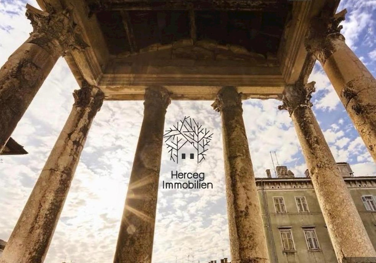 PULA – Vila z bazenom