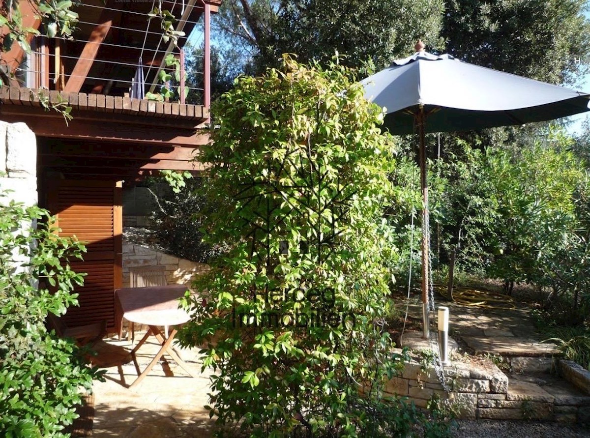 ROVINJ – Vila obdana z gozdom, 150m od morja