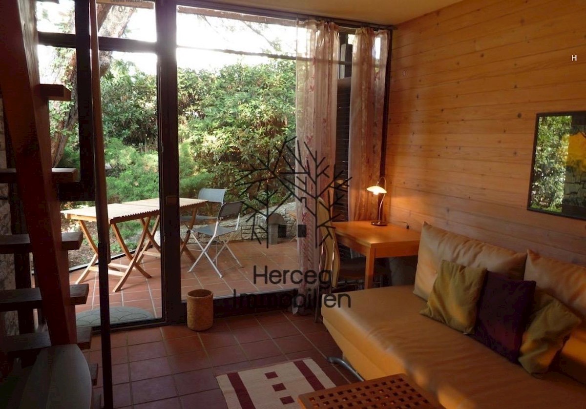 ROVINJ – Vila obdana z gozdom, 150m od morja