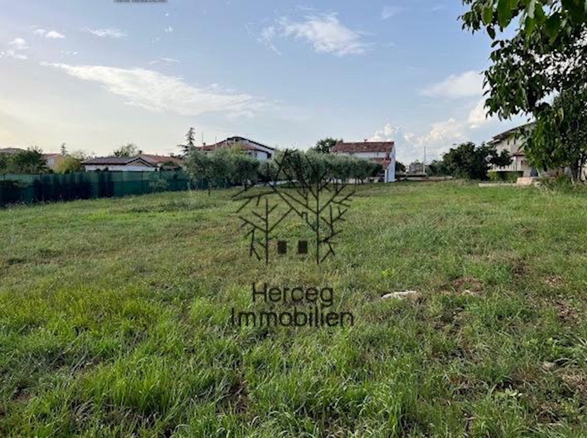 POREČ - Hiša z oljčnim nasadom - več kot 3000 m²