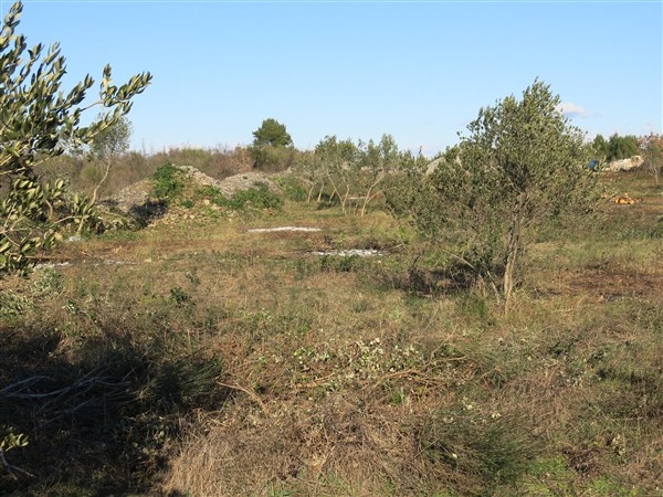 Zemljišče Vodice, 5.900m2