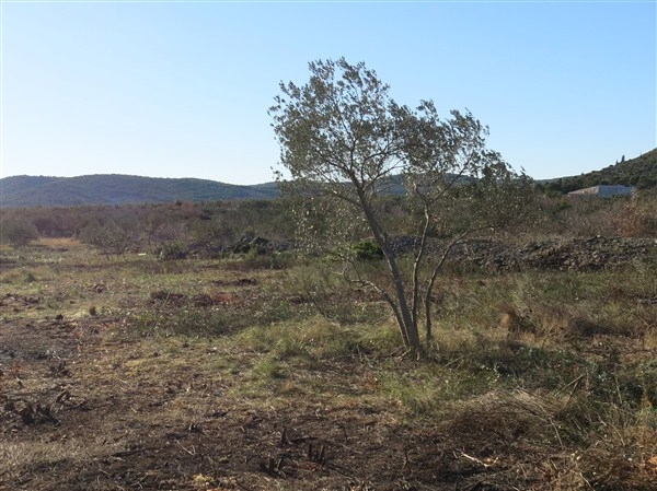 Zemljišče Vodice, 5.900m2