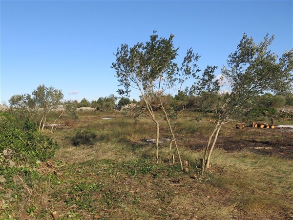 Zemljišče Vodice, 5.900m2