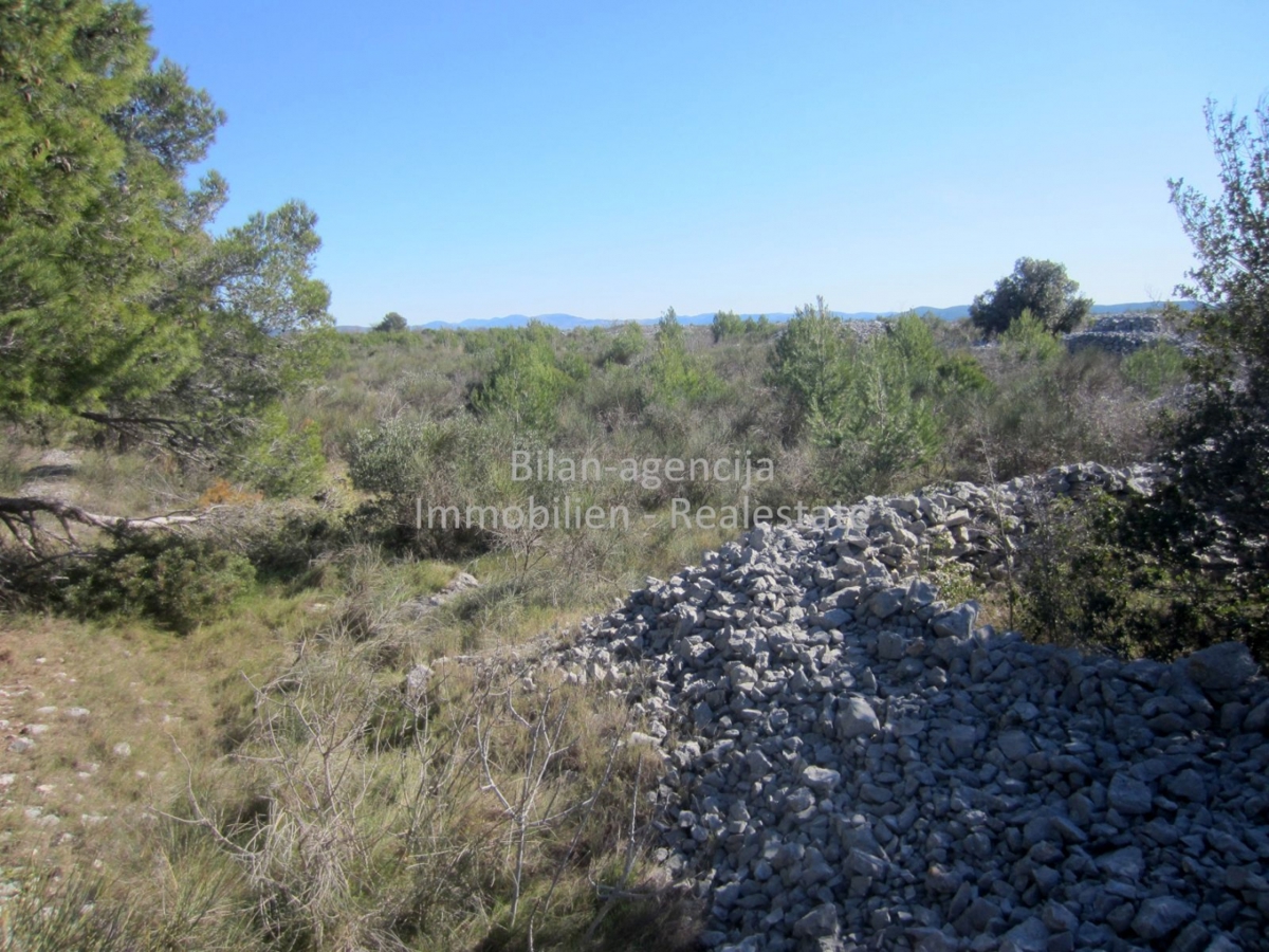 Zemljišče Vodice, 9.000m2