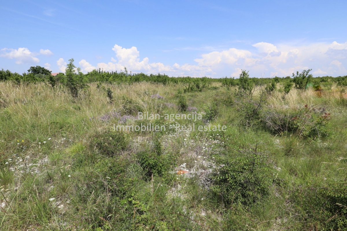 Zemljišče Čista Velika, Vodice, 20.314m2