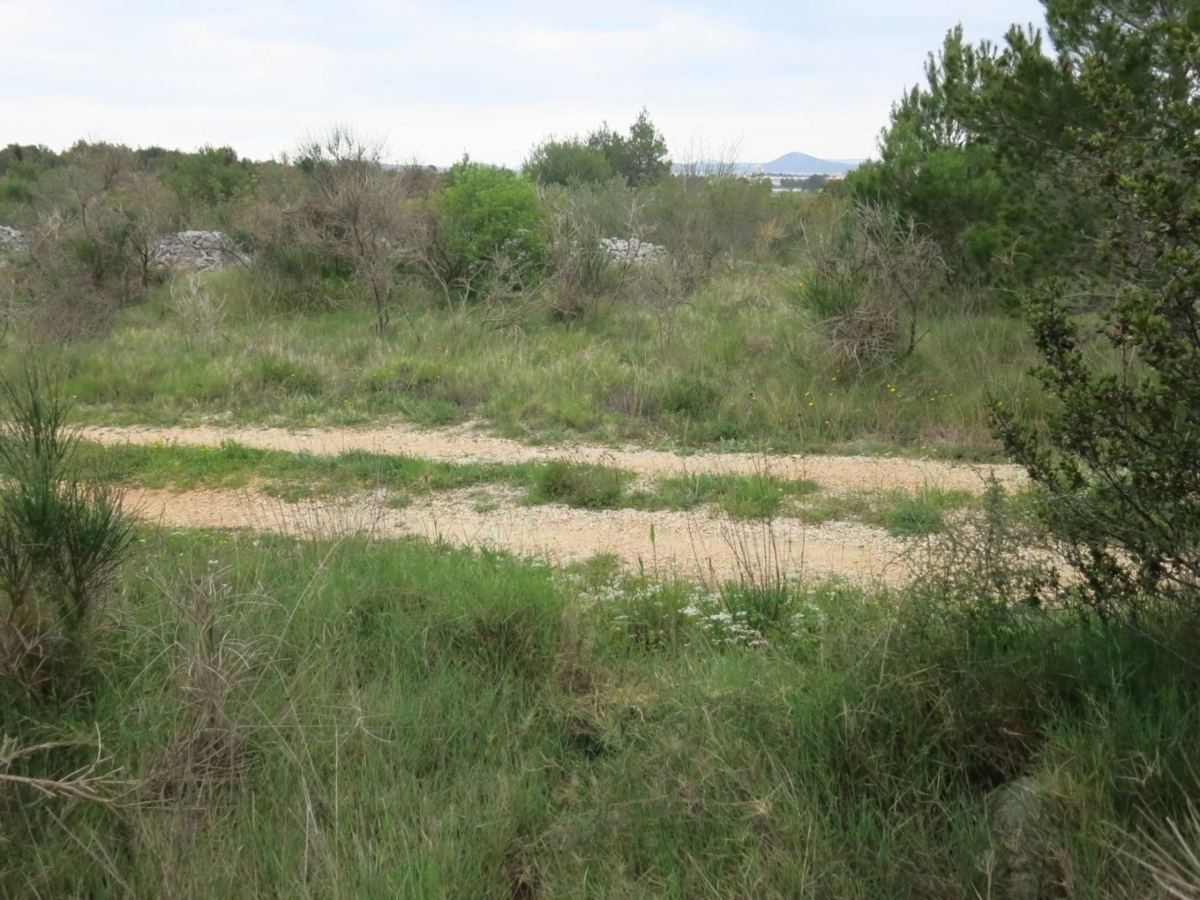 Zemljišče Vodice, 4.398m2