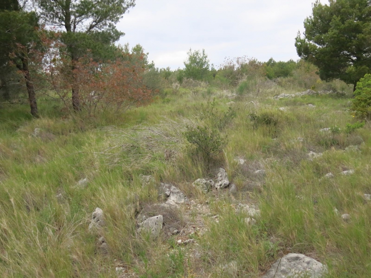 Zemljišče Vodice, 4.398m2