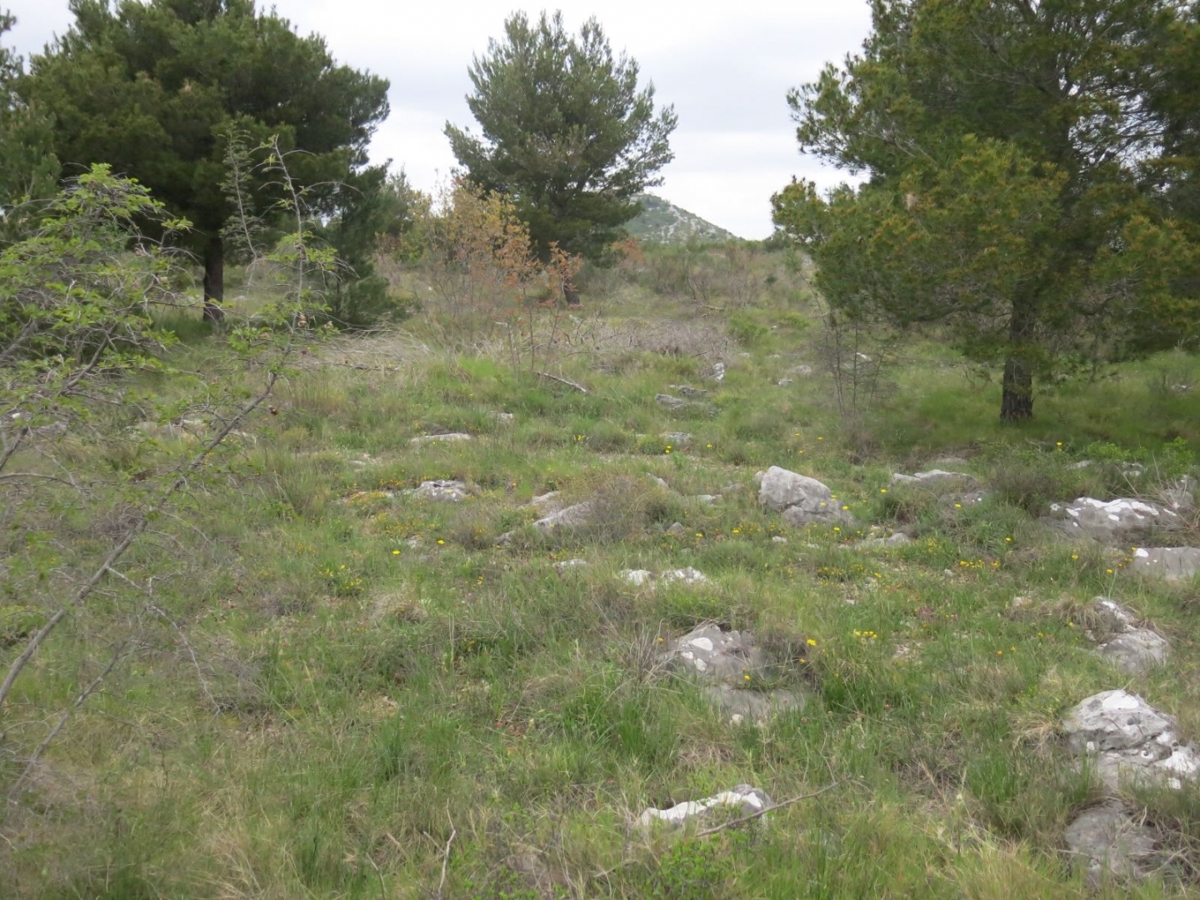 Zemljišče Vodice, 4.398m2