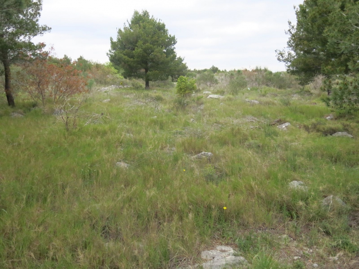 Zemljišče Vodice, 4.398m2