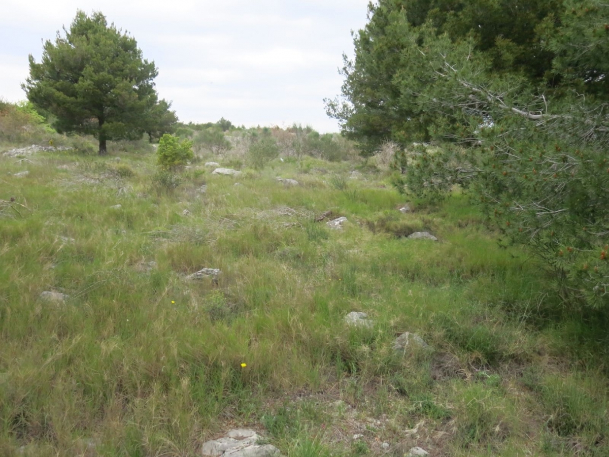 Zemljišče Vodice, 4.398m2