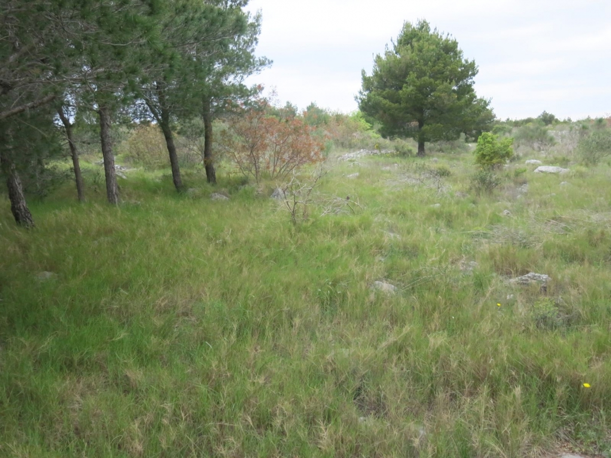 Zemljišče Vodice, 4.398m2