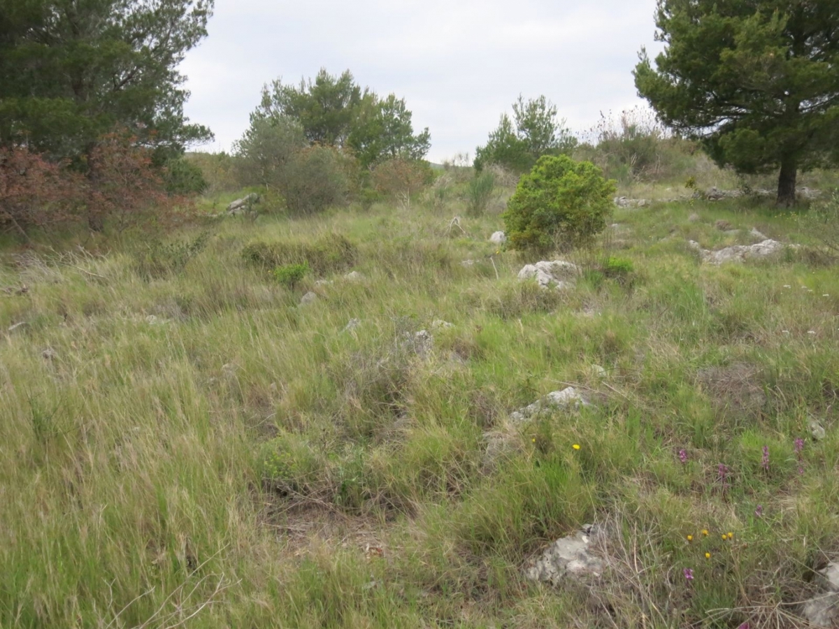 Zemljišče Vodice, 4.398m2