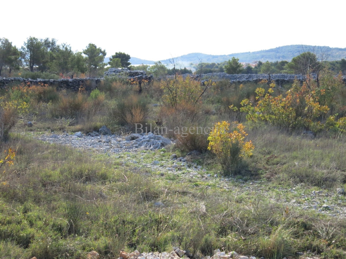 Zemljišče Vodice, 11.000m2