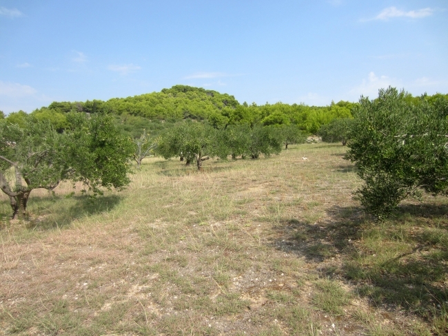 Zemljišče Vodice, 2.200m2