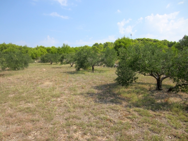 Zemljišče Vodice, 2.200m2