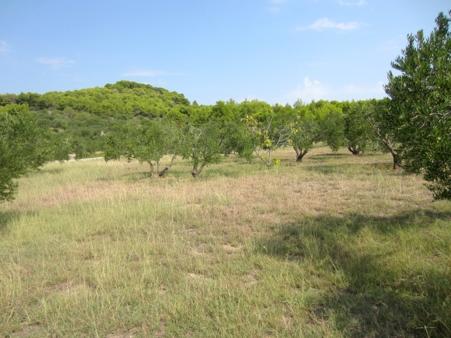 Zemljišče Vodice, 2.200m2