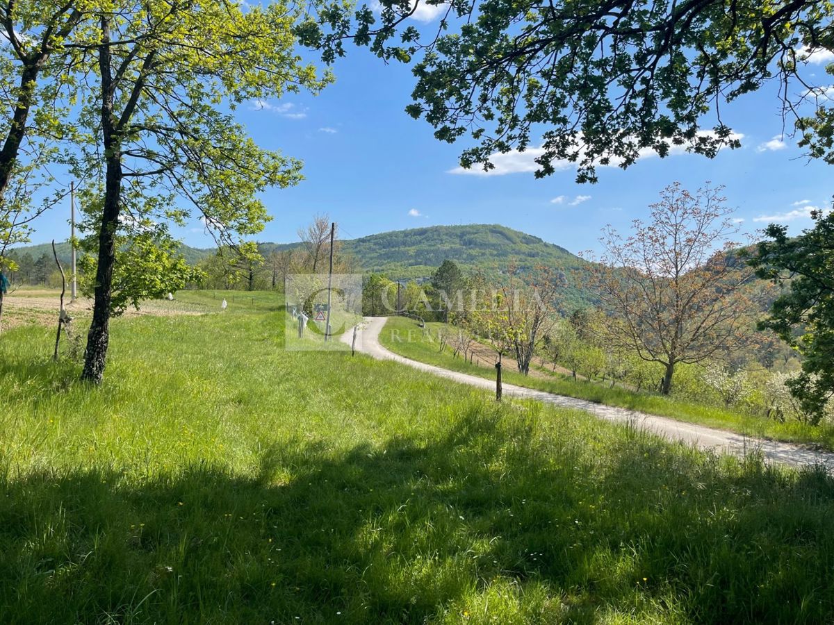 Zemljišče Buzet, 3.755m2