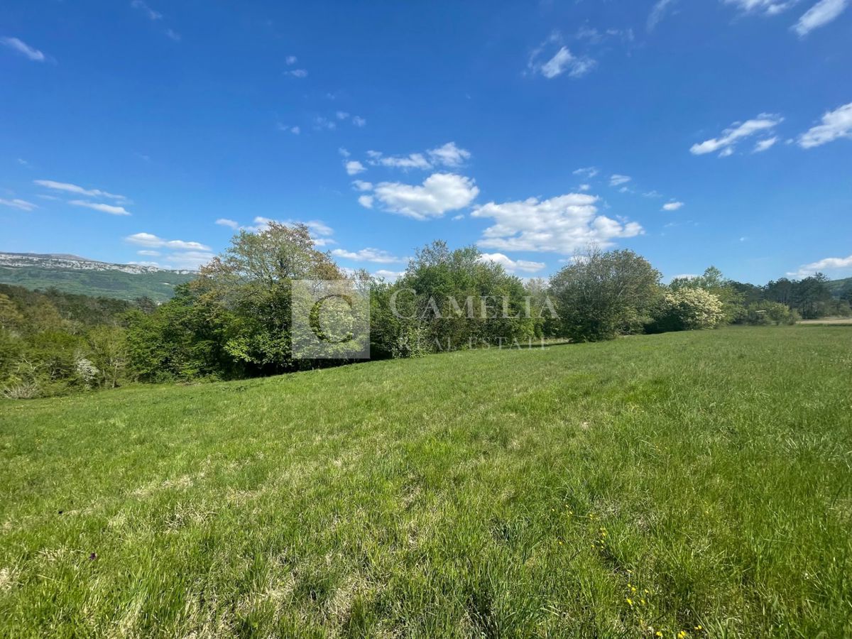 Zemljišče Buzet, 3.755m2