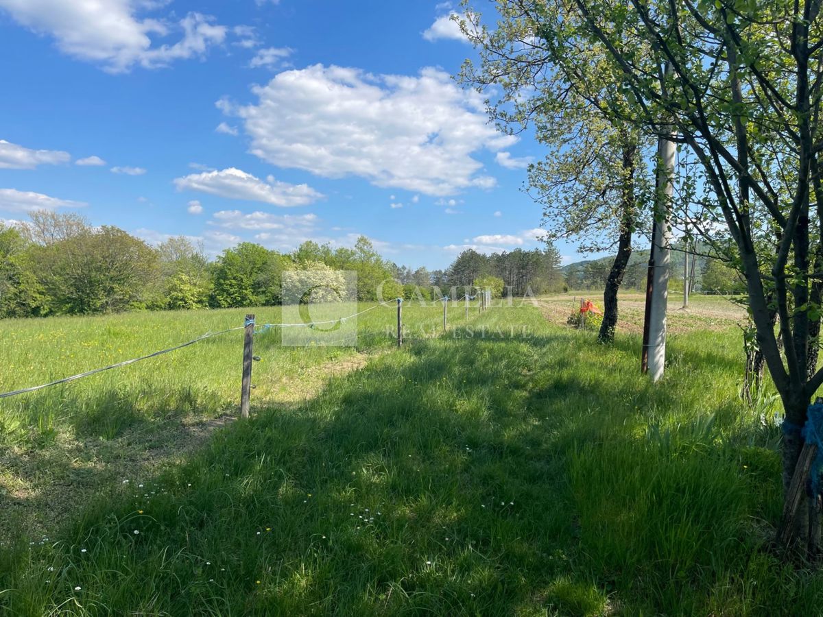 Zemljišče Buzet, 3.755m2