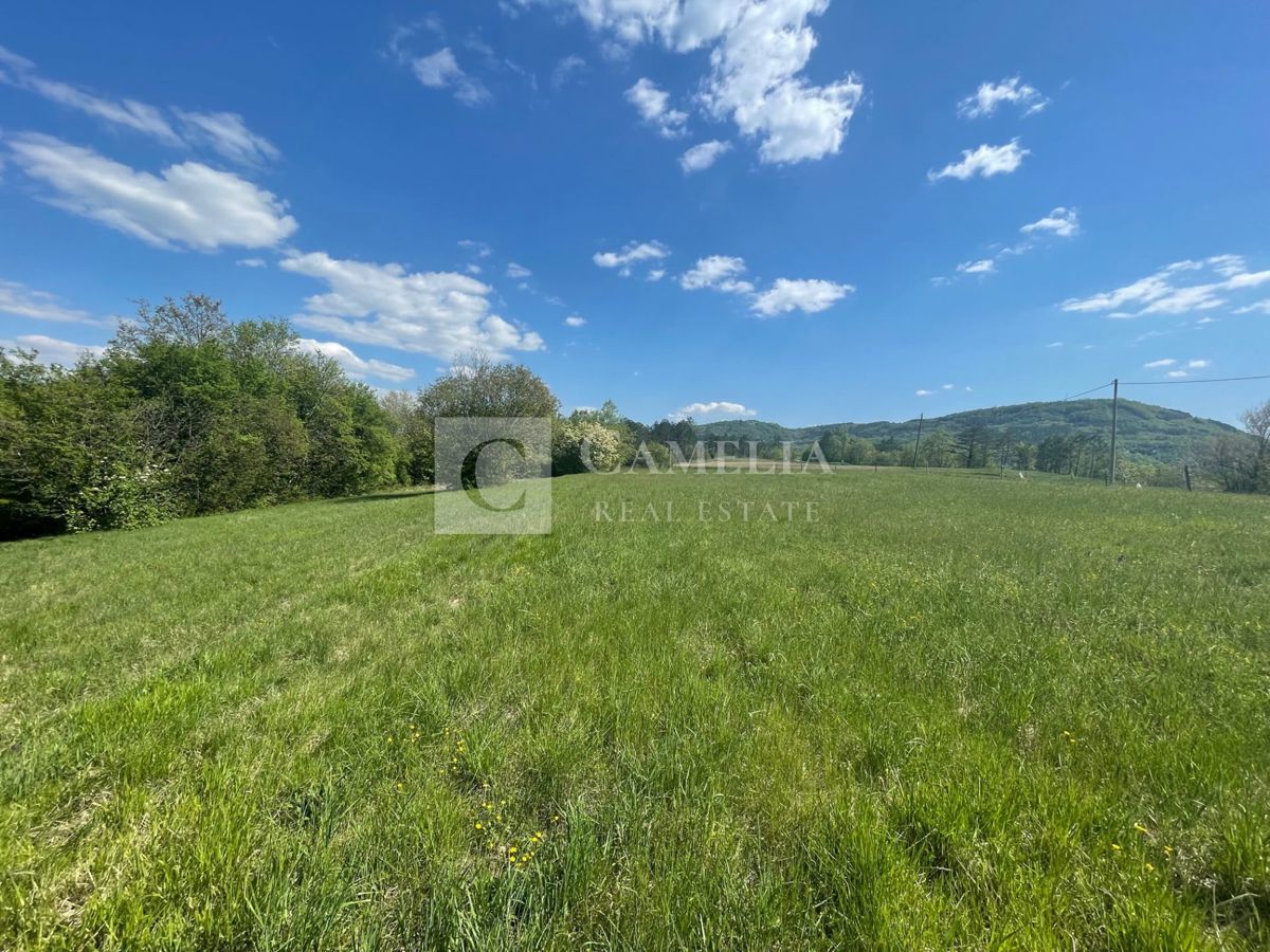Zemljišče Buzet, 3.755m2