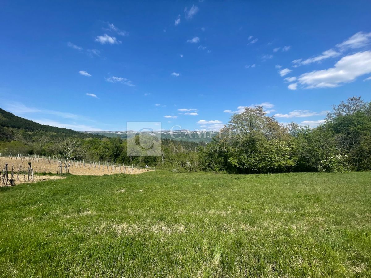 Zemljišče Buzet, 3.755m2